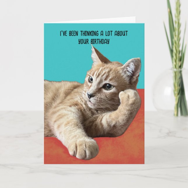 Funny Cat Birthday Card (Front)