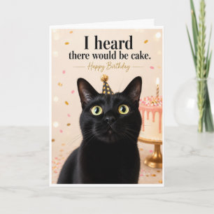 Funny Cat Birthday Card