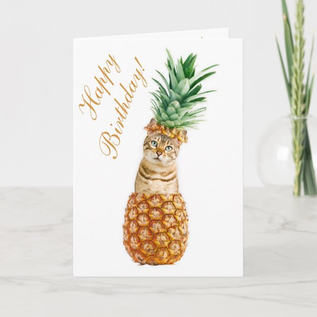 Funny Cat Birthday Card - Cute Cat In A Pineapple (Front)