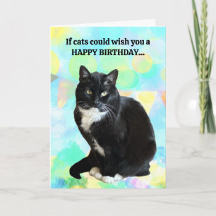 Funny Cat Birthday Card from the cat