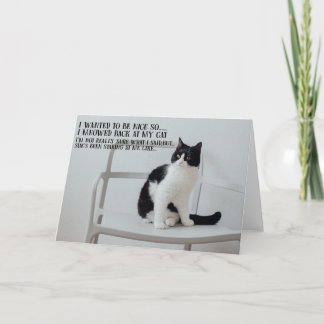 Funny Cat Birthday Greeting Card