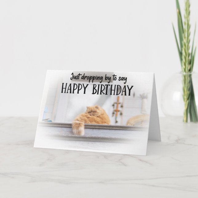Funny Cat Birthday Greeting Card  (Front)