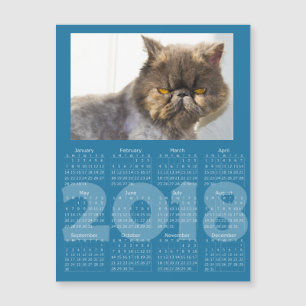 Funny Cat Blue 2018 Calendar Magnetic Card