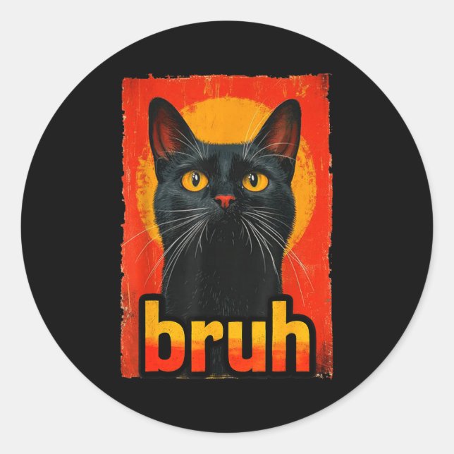 Funny Cat Bruh For Teens Boys Girls Men Women Meme Classic Round Sticker (Front)