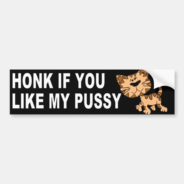 FUNNY CAT BUMPER STICKER (Front)