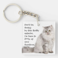 Funny Cat Caption Mess up Furniture