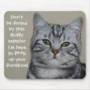 Funny Cat Caption Mess up Furniture Mouse Pad