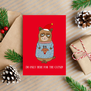 Funny Cat Christmas Holiday Card