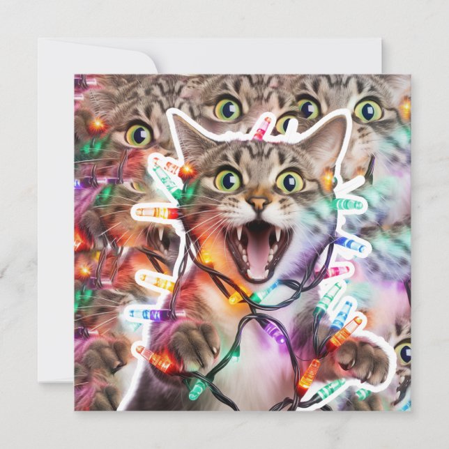 Funny Cat Christmas Lights Holiday Card (Front)