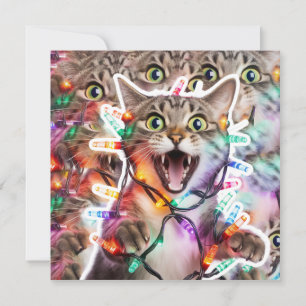 Funny Cat Christmas Lights Holiday Card