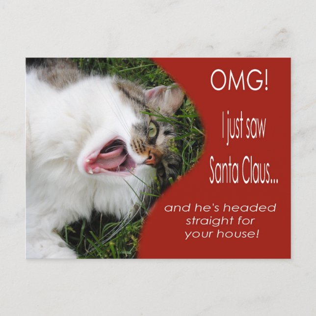 Funny Cat Christmas Postcard (Front)