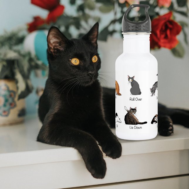 Funny Cat Commands Illustrated Training Chart 532 Ml Water Bottle (Creator Uploaded)