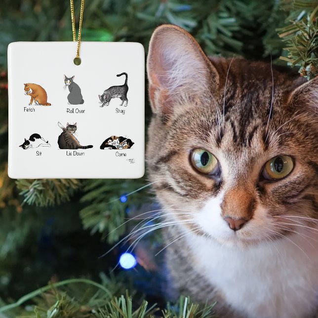 Funny Cat Commands Illustrated Training Chart Ceramic Ornament (Creator Uploaded)