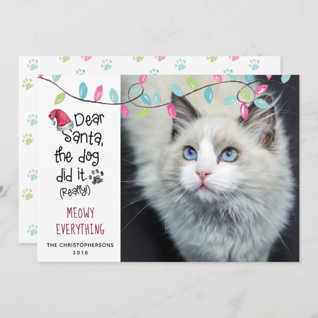 Funny Cat DEAR SANTA Lights Photo Holiday Card (Front/Back)
