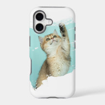 Funny Cat Design