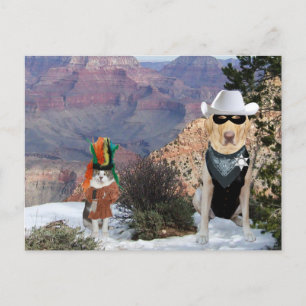 Funny Cat & Dog/Lab Western Characters Postcard