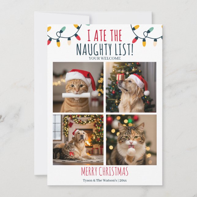 Funny Cat Dog Naughty List Custom Christmas Photo Holiday Card (Front)