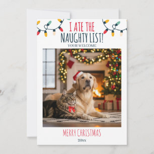 Funny Cat Dog Naughty List Custom Christmas Photo Holiday Card