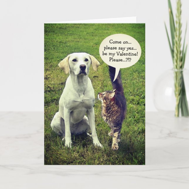 Funny Cat & Dog Valentine (customisable) Holiday Card (Front)