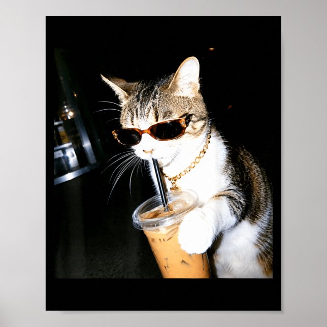 Funny Cat Drinking Iced Coffee Humour Meme Kitten Poster (Front)