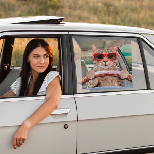 Funny Cat Driving Car Shade 12" x 12" (Creator Uploaded)