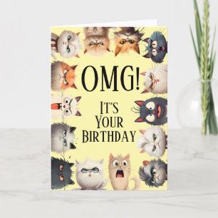 Funny Cat Faces Birthday Card