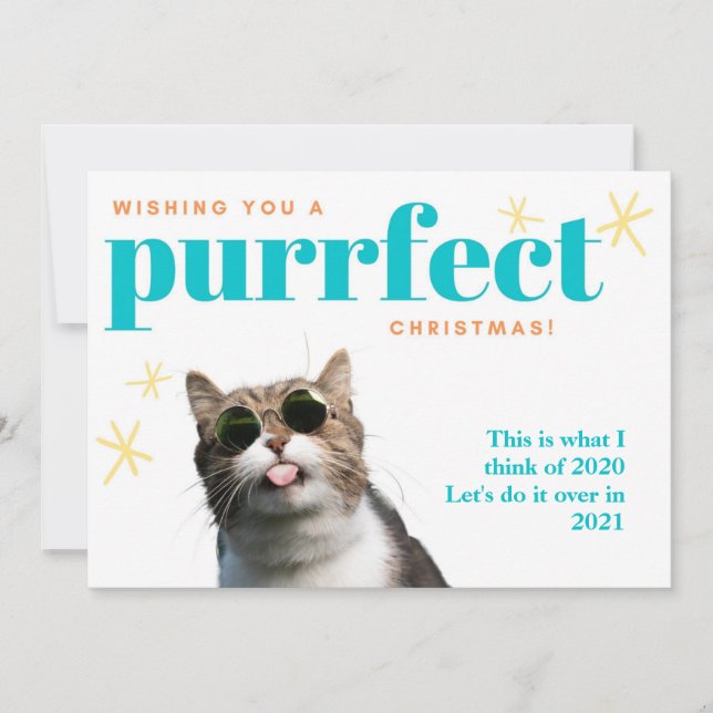 Funny Cat Farewell 2020 Do it Over 2021 Christmas Holiday Card (Front)