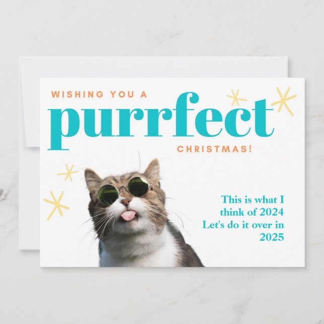 Funny Cat Farewell 2024 Do it Over 2025 Christmas  Holiday Card (Front)