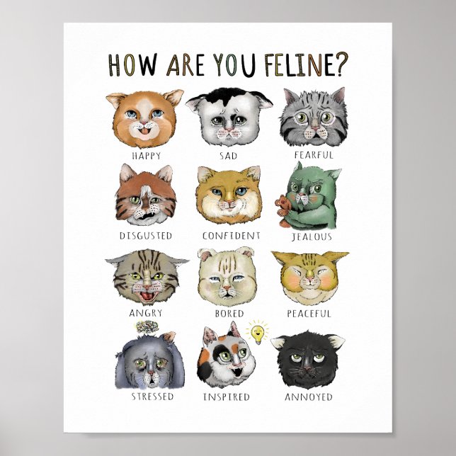 Funny Cat Feeling Chart How Are You Feline? (Front)