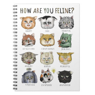 Funny Cat Feeling Chart How Are You Feline? Notebook