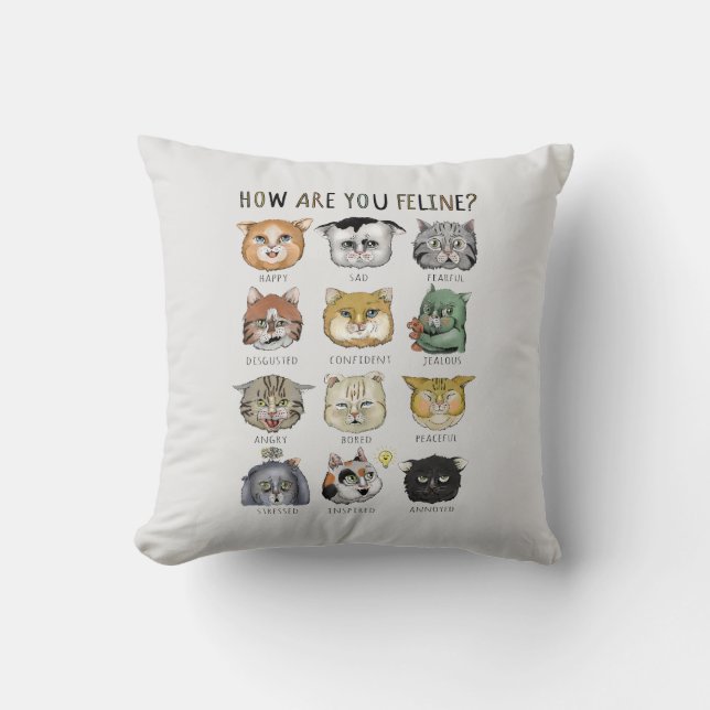 Funny Cat Feelings Chart How Are You Feline? Cushion (Front)
