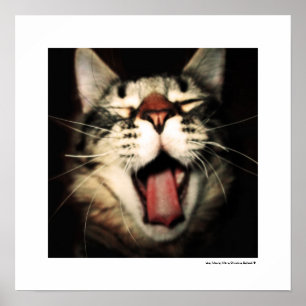 Funny Cat Fun Tongue Out Kitten Cool Poster Prints