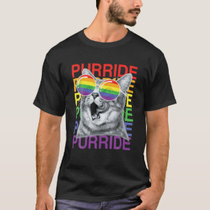 Funny Cat Gay Pride Month 2022 Rainbow Flag Sungla T-Shirt