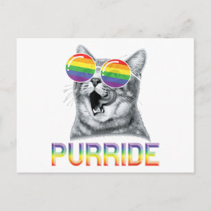 Funny Cat Gay Pride Rainbow Sunglasses LGBTQ Postcard