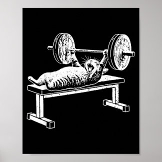 Funny Cat Gym Workout Bench Press Cat Meme Poster
