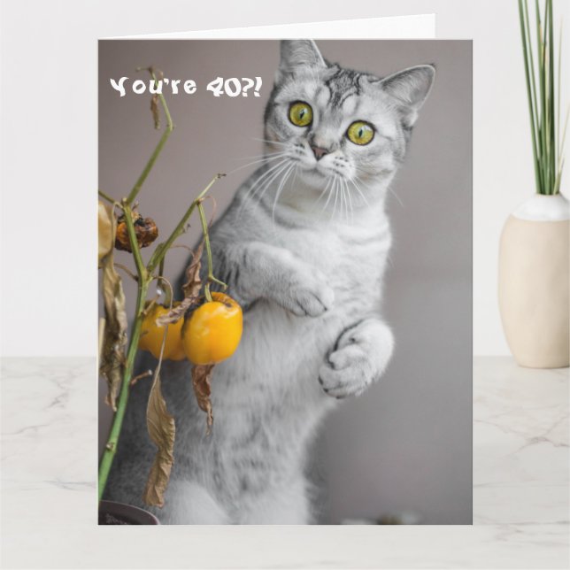 Funny Cat Happy 40th Birthday Card (Front)