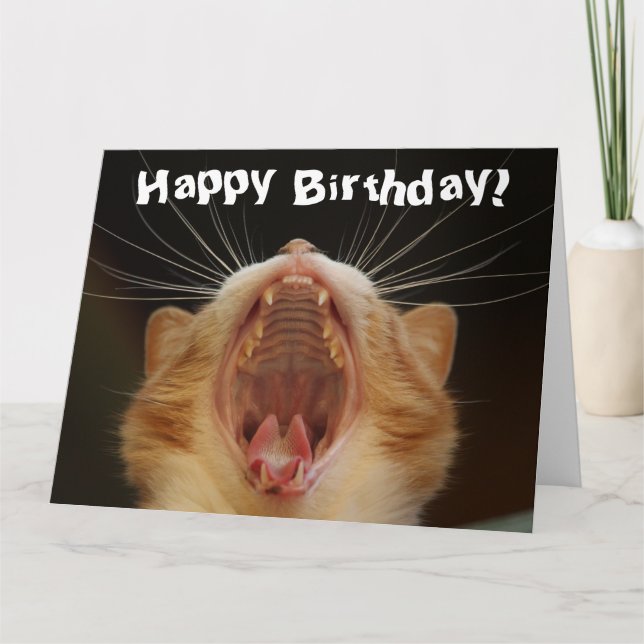 Funny Cat Happy Birthday Card (Front)