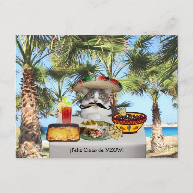 Funny Cat Happy Cinco de Mayo Postcard (Front)