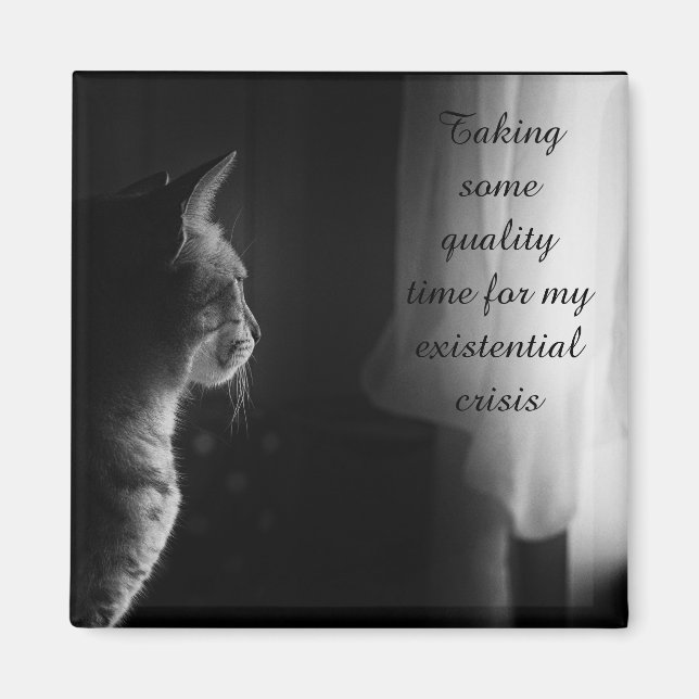 Funny Cat Having Existential Crisis Magnet (Front)