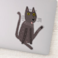 Funny Cat Humour