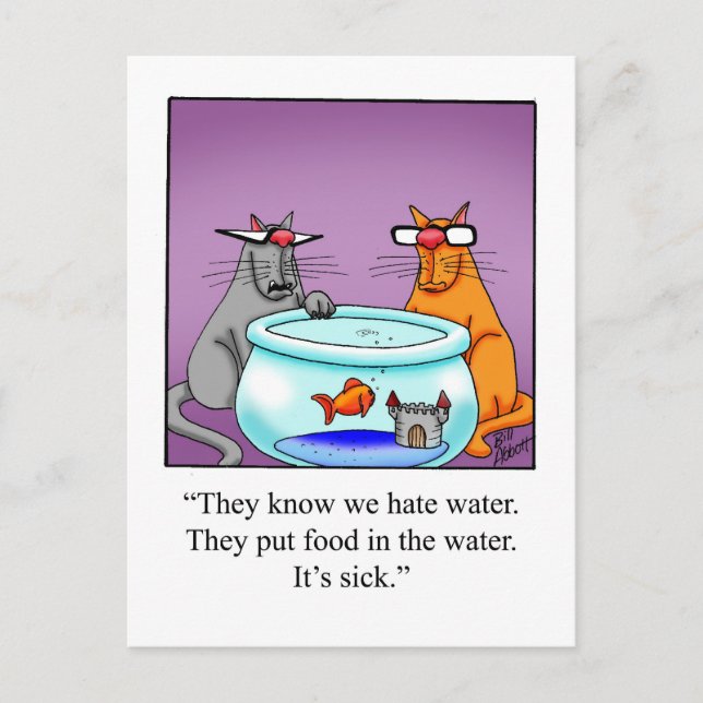Funny Cat Humour Postcard (Front)