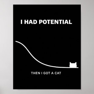 Funny Cat I Had Potential Then I Got A Cat Poster