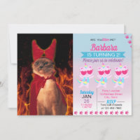 Funny Cat in Halloween Devil Costume