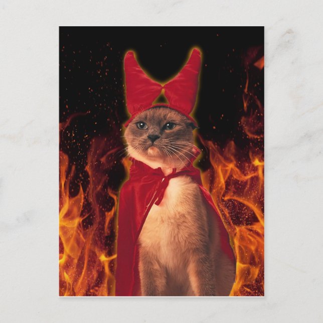 Funny Cat in Halloween Devil Costume Postcard (Front)