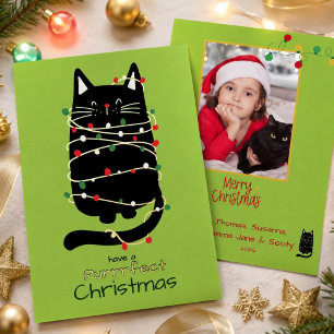 Funny Cat in Lights Purr fect Photo Chrismas Gold