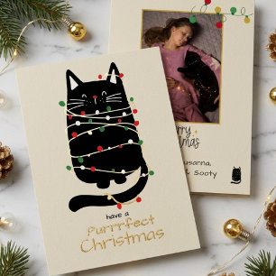 Funny Cat in Lights Purr fect Photo Chrismas Gold