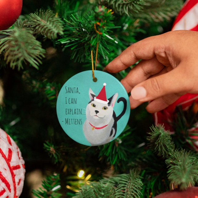 Funny Cat in Santa Hat Personalised Ornament (Creator Uploaded)
