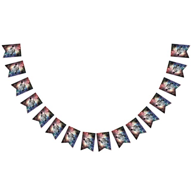 Funny cat in space  bunting  (All)