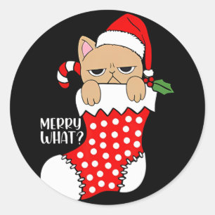 Funny Cat In Stocking Christmas Cat Xmas  Classic Round Sticker