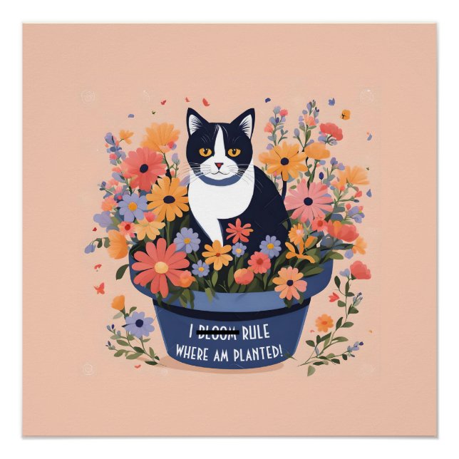Funny Cat Inspirational Quote Poster (Front)